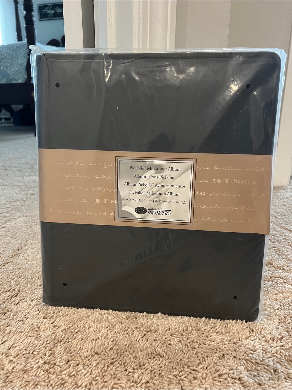 Black PicFolio Milestones Photo Album